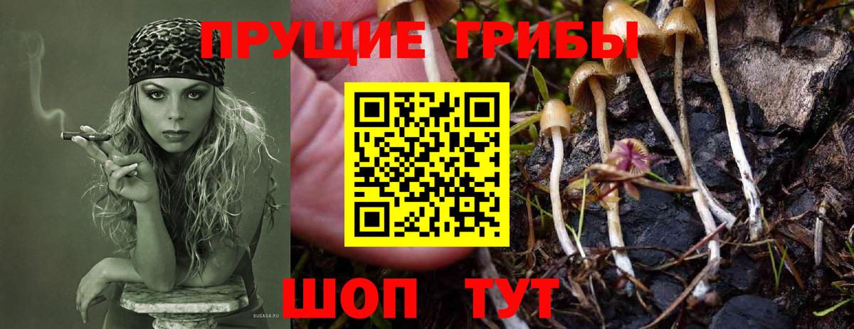 Галлюциногенные грибы мухоморы  Галлюциногенные грибы GOLDEN TEACHER  Белогорск  Вход с VPN 