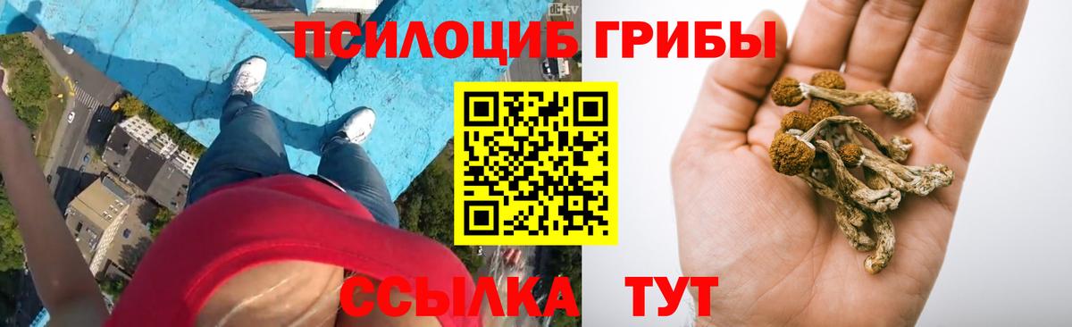 Псилоцибиновые грибы прущие грибы Белогорск